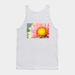 Firewheel (Gaillardia pulchella) (B760/1741) Tank Top